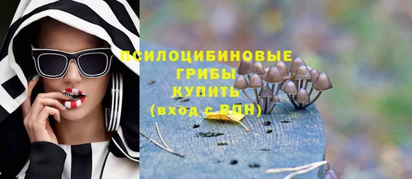 мдпв Беломорск