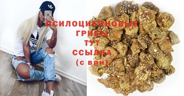 мдпв Беломорск