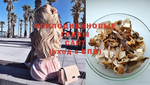 метадон Магас
