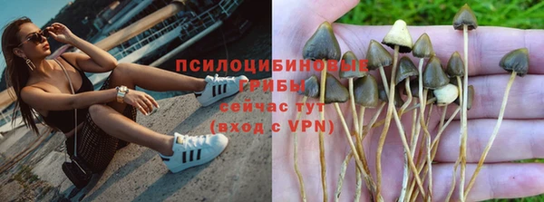 бутират Мегион