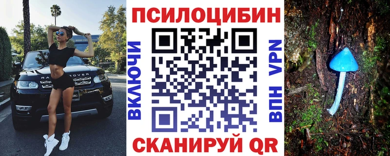 Псилоцибиновые грибы Psilocybe  купить наркотик  Бирюсинск 
