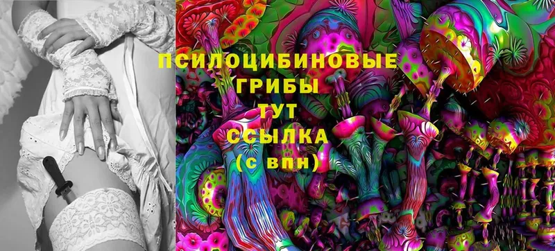 Псилоцибиновые грибы MAGIC MUSHROOMS  Бирюсинск 